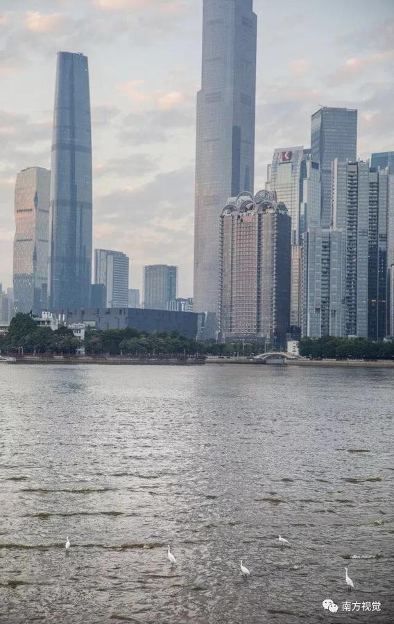Xcellent International Serviced Apartment Guangzhou Dış mekan fotoğraf